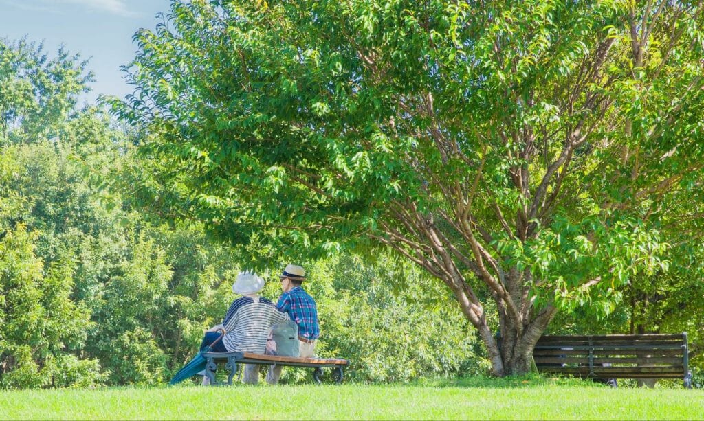 senior-couple-resting-in-shade-under-tree-at-park